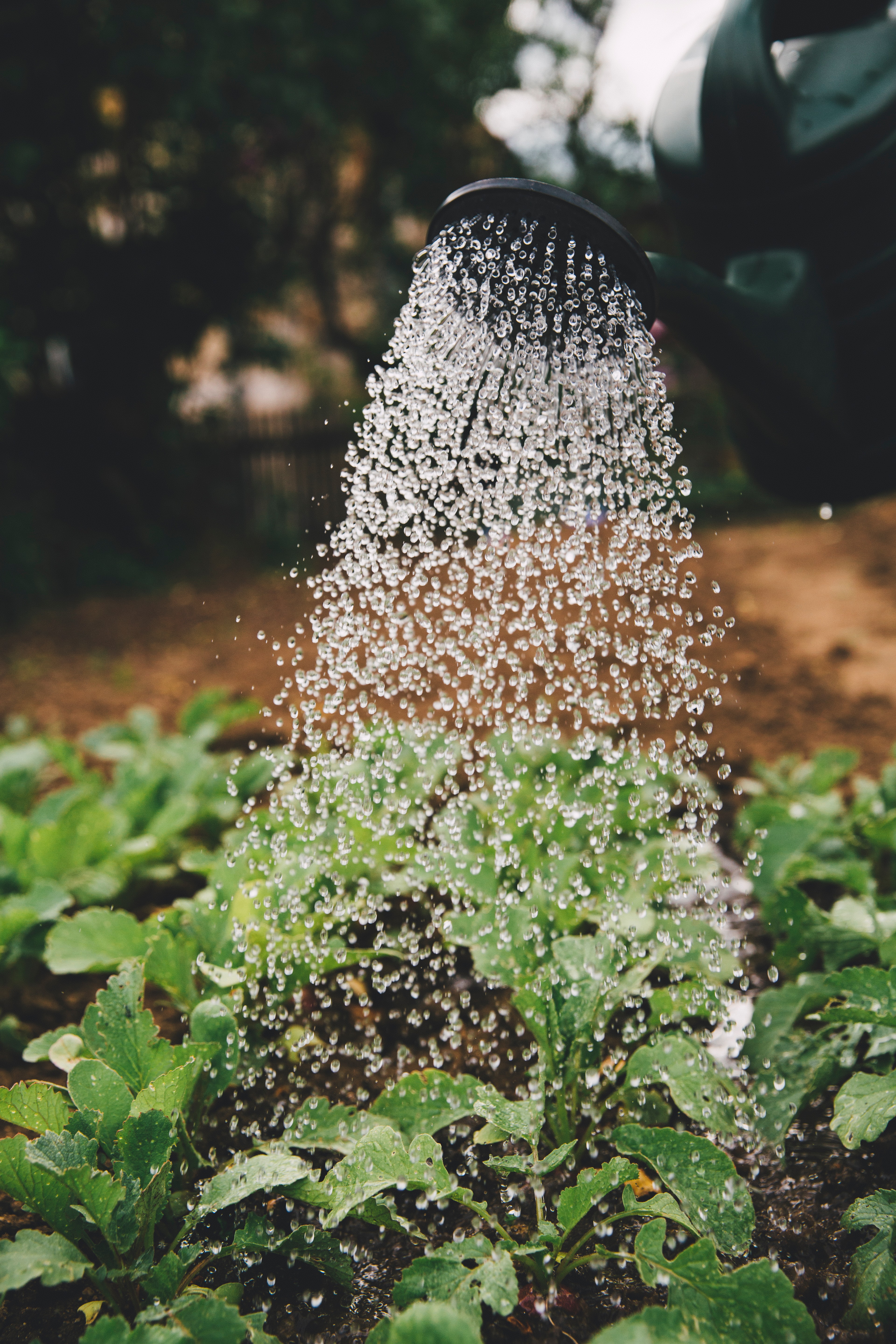 Water Conservation