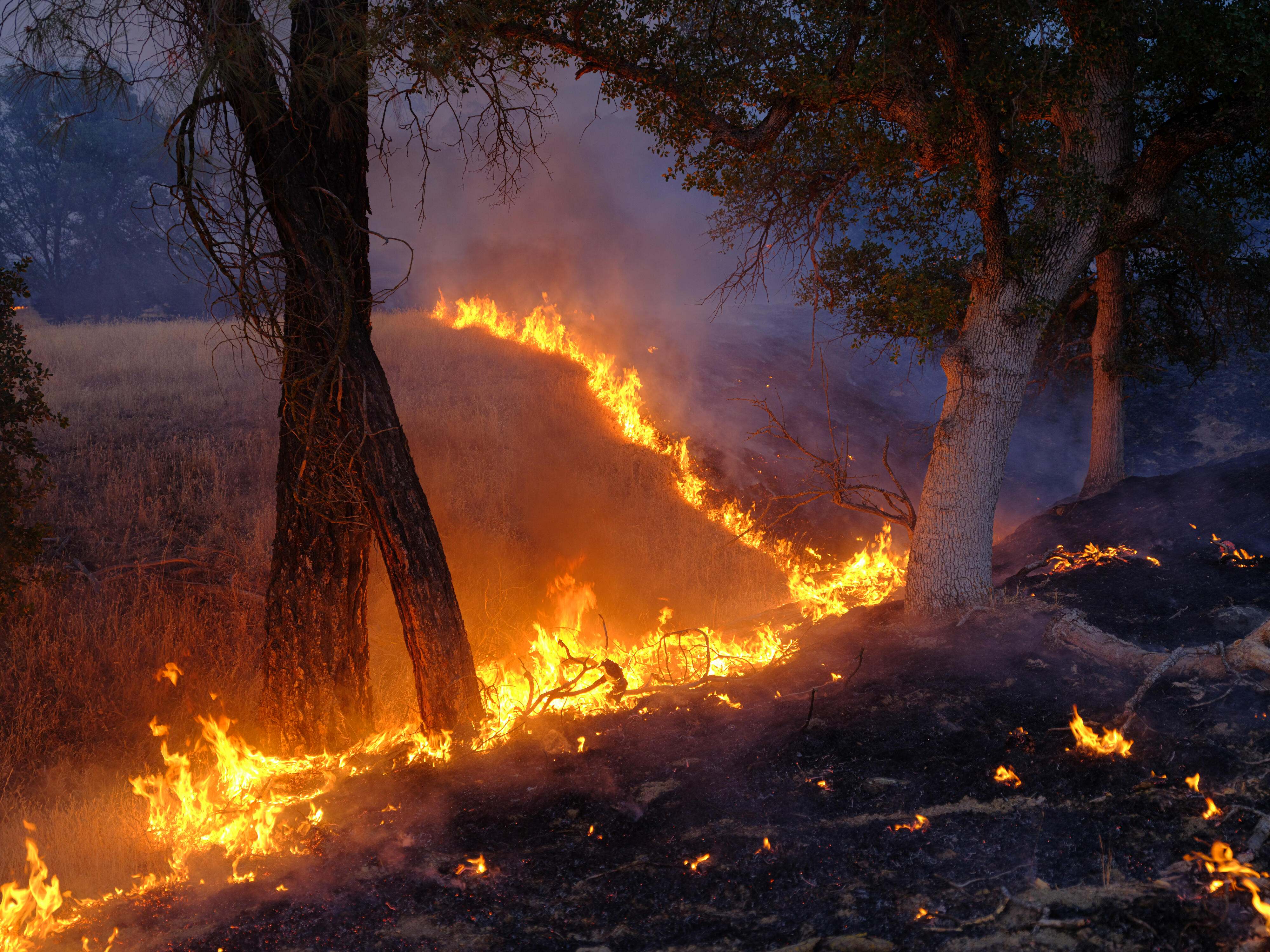 Wildfires: Impact of Climate Change