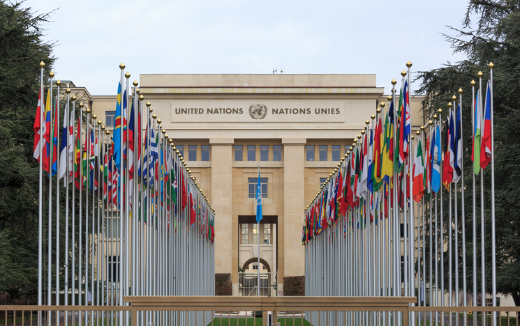 Understanding the United Nations: History, Careers and Model UN