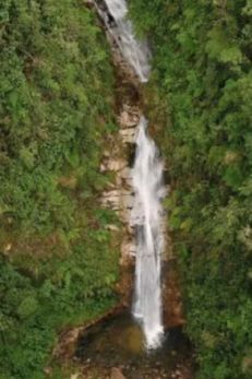 colombia paramo