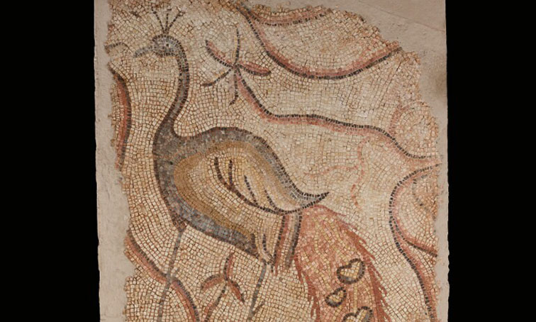 Explore Animal Symbolism in a Roman Mosaic