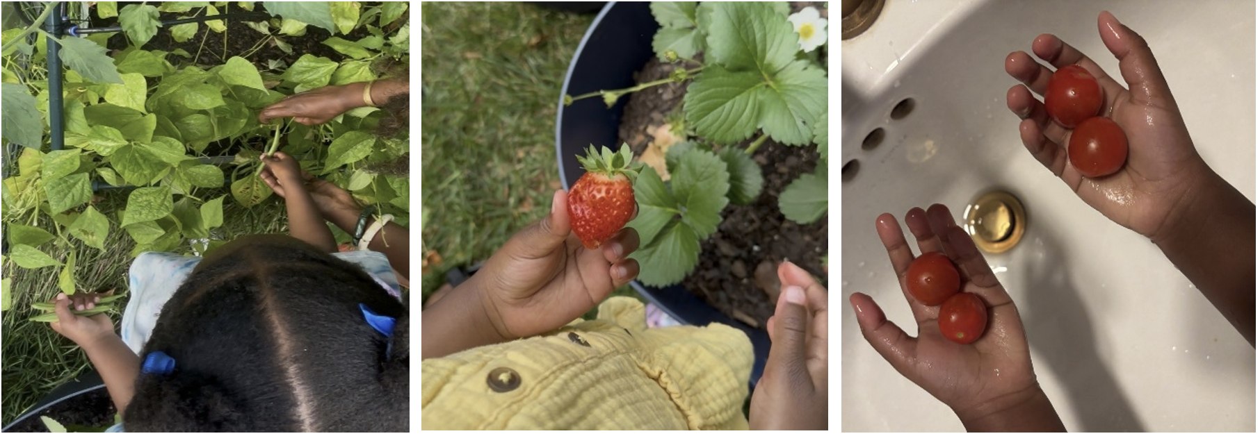 Grow what you actually want