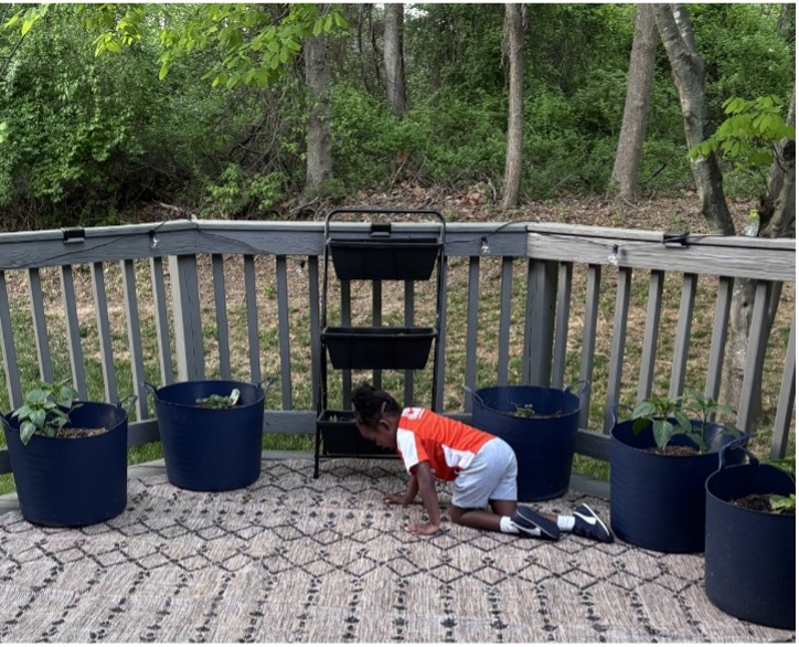 garden pots