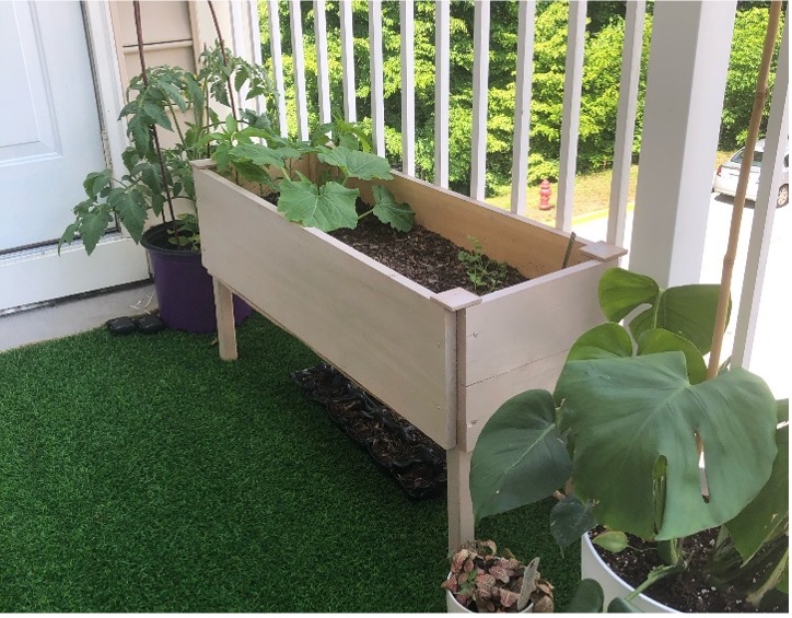 raised bed