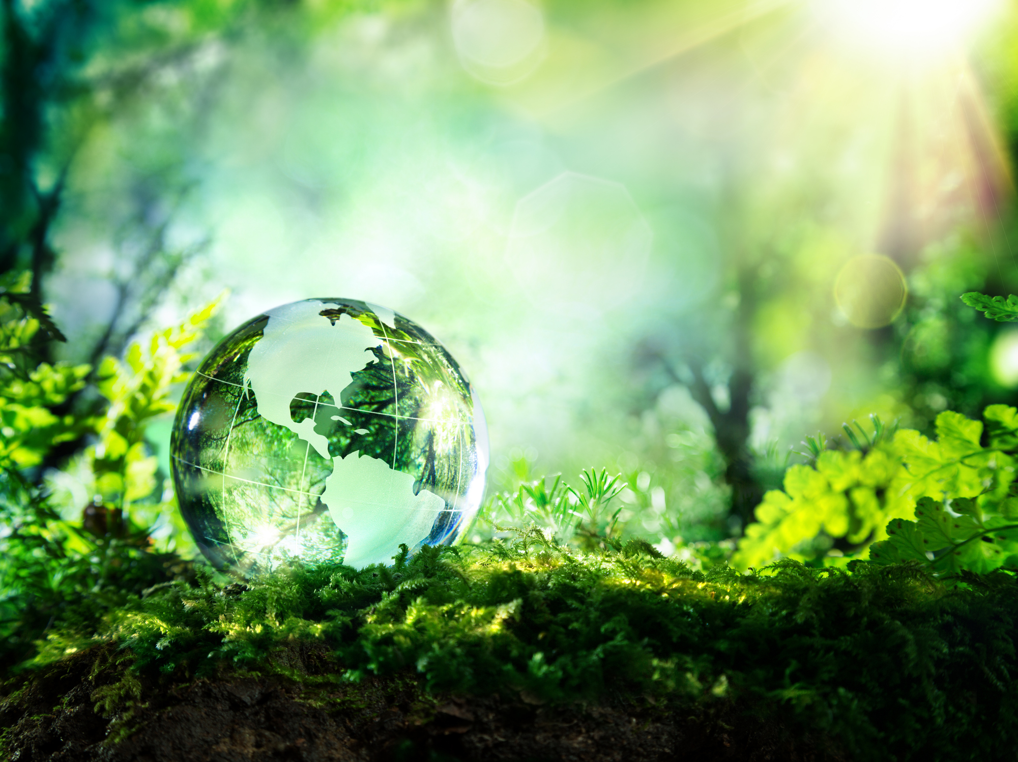 Carbon Crunch