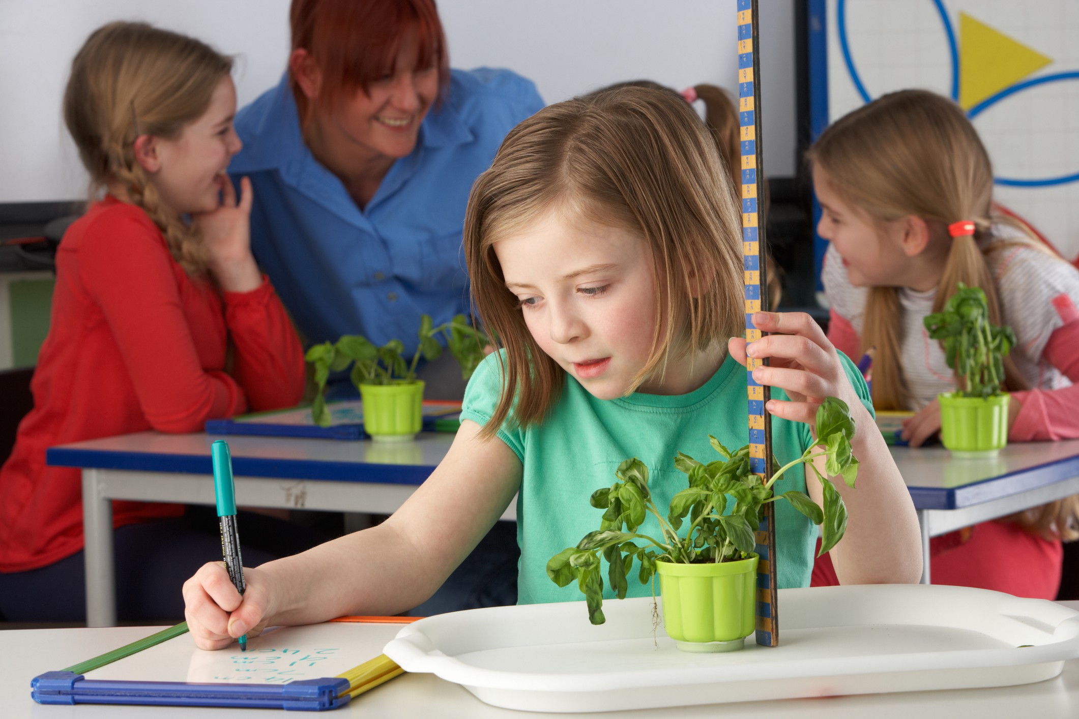 Jobs in Horticulture
