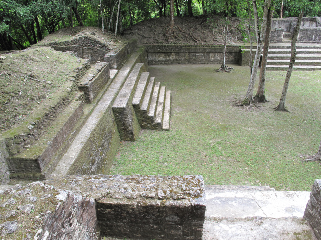 Maya Agriculture