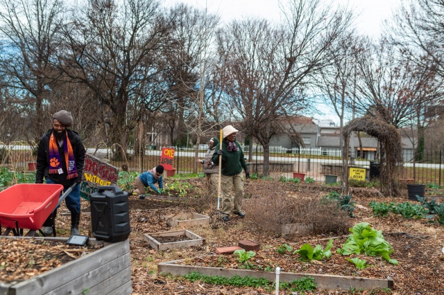 Building a Garden in a Day