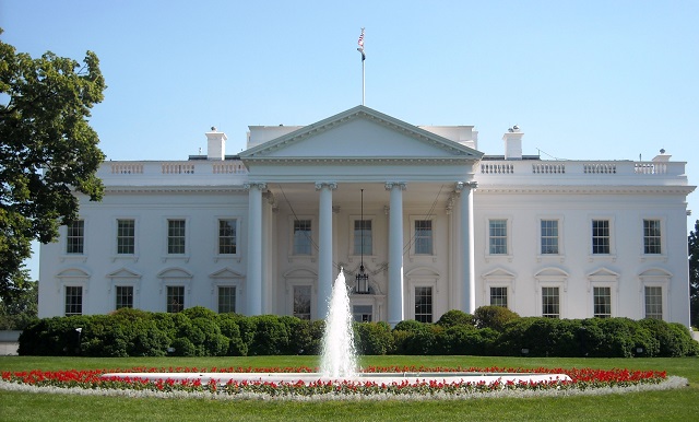 If I Were President Handout