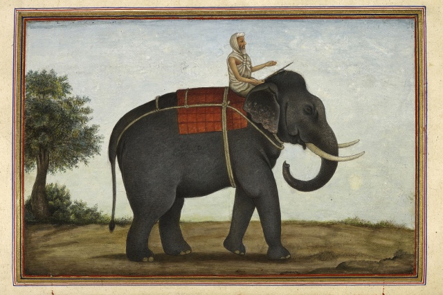 Diverse Perspectives Complete a Picture- SEL/Literacy Lesson on "The Blind Men and the Elephant"