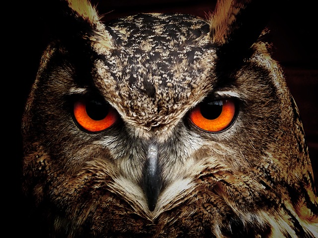 Spooky symmetry: Fun with Reflective Symmetry