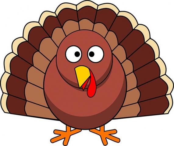 Label the Turkey - Thanksgiving Activity