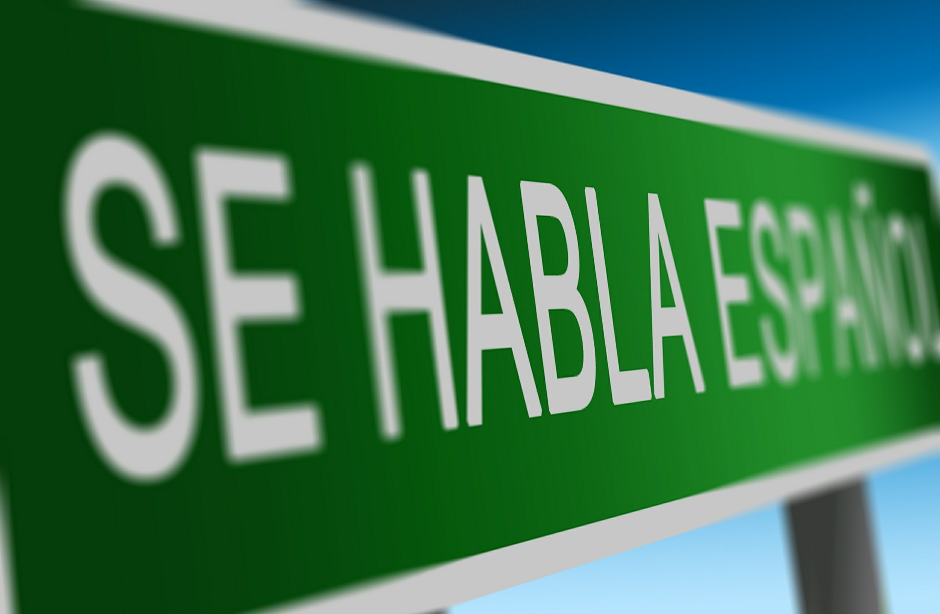 Español 1: Avancemos book